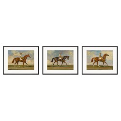  Obrazy konie zestaw 3 szt. 21x26cm