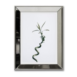  Obraz w lustrzanej ramie mała roślinka 31x41cm