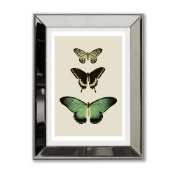 Obraz w lustrzanej ramie Motyle 31x41cm
