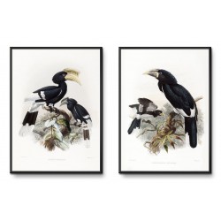  Obrazy ptaki zestaw 2 szt. 31x41cm