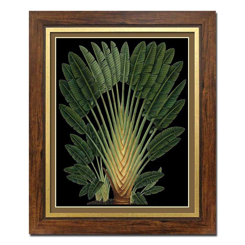 Obraz na płótnie tropikalne liście i kwiaty 52x62cm