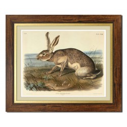  Obraz na płótnie królik 52x62cm