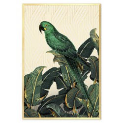  Obraz na płótnie zielona papuga 63x93cm