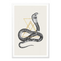  Obraz na płótnie kobra wąż 63x93cm