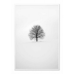  Obraz na płótnie samotne drzewo 63x93cm