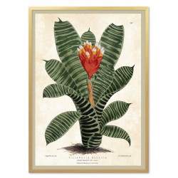  Obraz na płótnie tropikalne liście i kwiaty 53x73cm