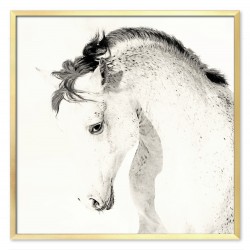  Obraz na płótnie 63x63cm biały koń