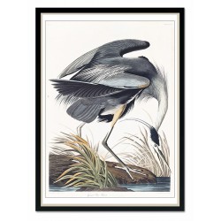  Obraz na płótnie dzikie ptactwo 53x73cm