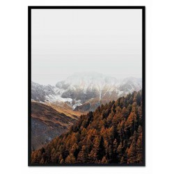  Obraz na płótnie las w górach 53x73cm