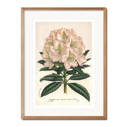  Obraz 33x43cm kwiat