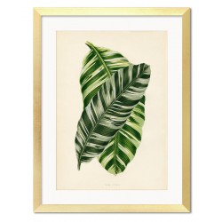  Obraz do salonu tropikalne liście w drewnianej ramie 33x43cm