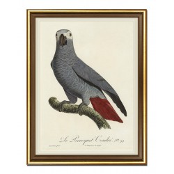  Obraz na płótnie dzikie ptactwo 33x43cm