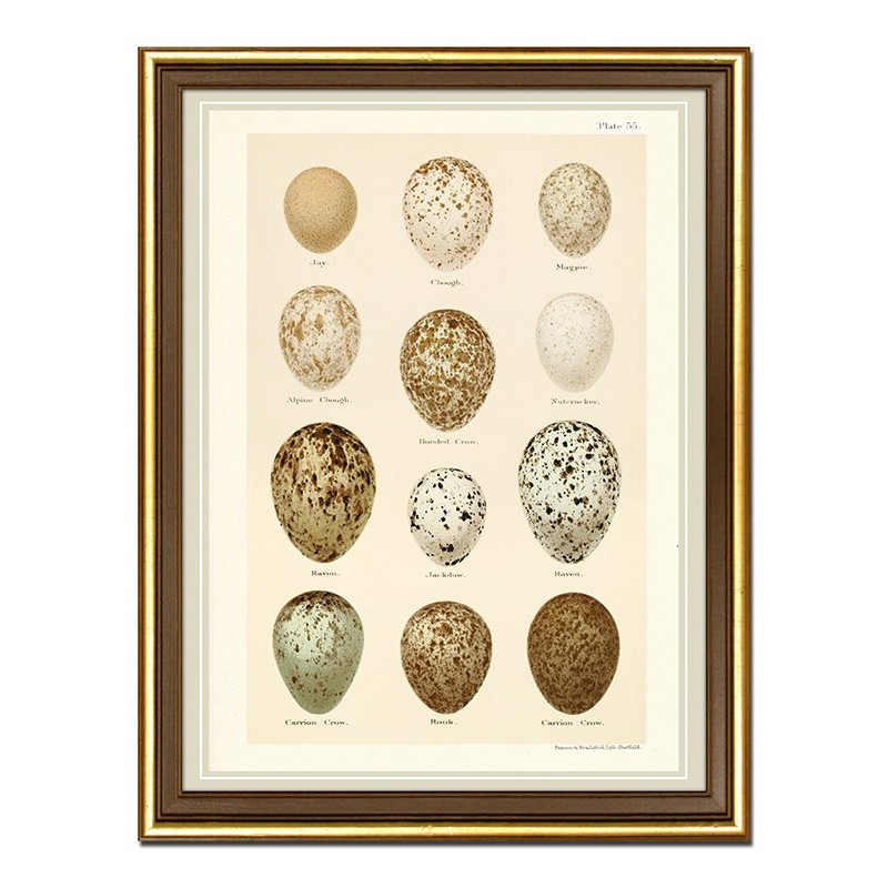  Obraz na płótnie jajka 33x43cm