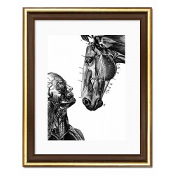  Obraz człowiek i koń 23x28cm