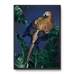  Obraz papuga na nocnym niebie 31x41cm