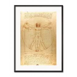  Obraz Leonardo da Vinci Człowiek Witruwiański 31x41cm