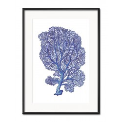  Obraz niebieski koralowiec