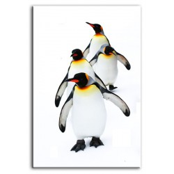  Obraz z pingwinami 60x90cm Reprodukcja G92779