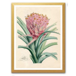  Obraz na płótnie tropikalne liście i kwiaty dzika przyroda 33x43cm