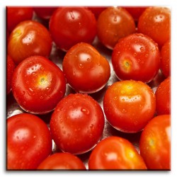  Obraz na płótnie 60x60cm pomidorki