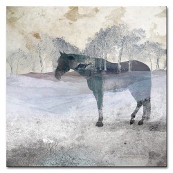  Obraz na płótnie abstrakcja z koniem 60x60cm