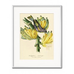  Obraz do salonu tropikalne liście i kwiaty 21x26cm