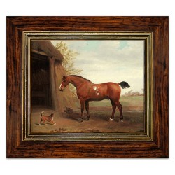 Obraz z koniem reprodukcja płótno w ramie 36x31cm George Garrard