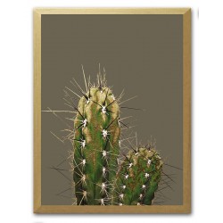  Obraz na płótnie kaktusy