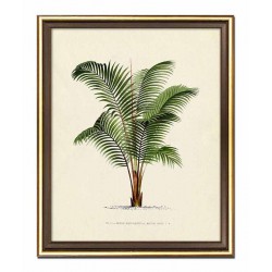  Obraz na płótnie palma 23x28cm