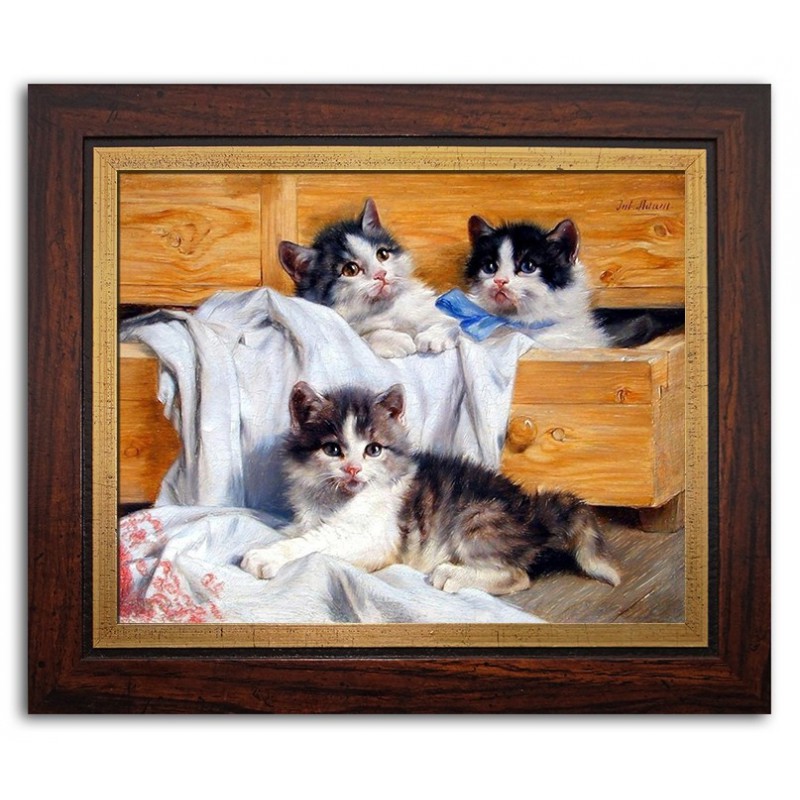  Obraz na płótnie 31x26cm szare kotki