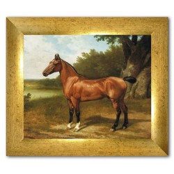  Obraz na płótnie 30x24cm koń kasztan