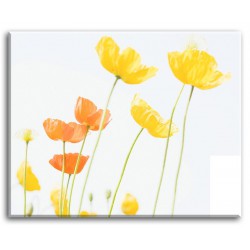  Obraz na płótnie 40x50cm żółte tulipany