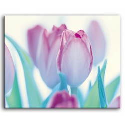  Obraz na płótnie 50x40cm fioletowe tulipany