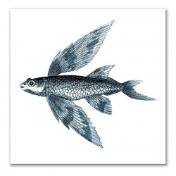  Obraz na płótnie ryba ze skrzydłami