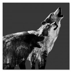 Obraz na płótnie śpiewające wilki