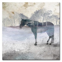  Obraz na płótnie 40x40cm Koń we mgle