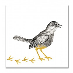  Obraz dla dziecka rysunek ptaszek