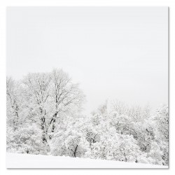  Obraz na płótnie Las zimą 30x30cm
