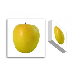  Obraz na płótnie 20x20x3cm zielone jabłuszko