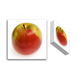  Obraz na płótnie 20x20x3cm jabłko