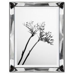 Obraz w lustrzanej ramie do salonu czarno-biały krzewy 41x51cm