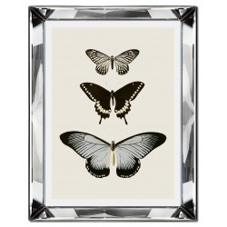  Obraz w lustrzanej ramie do salonu Hampton motyle 41x51cm