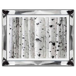  Obraz w lustrzanej ramie do salonu las brzozowy glamour 41x51cm