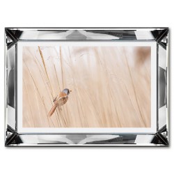  Obraz w lustrzanej ramie do salonu ptaszek w złotej trawie 31x41cm