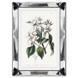  Obraz w lustrzanej ramie do salonu kwitnący kwiat 31x41cm