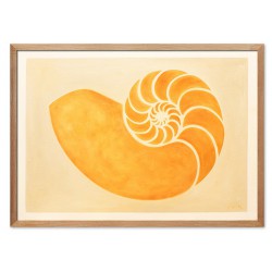  Obraz ręcznie malowany na płótnie 53x73cm pomarańczowa muszla ślimaka