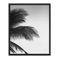  Obraz na płótnie 43x53cm plakat czarno-biały palma