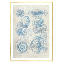  Obraz na płótnie 53x73cm meduzy