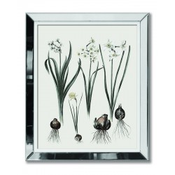  Obraz w lustrzanej ramie kwiaty do salonu cebulki 51x61cm