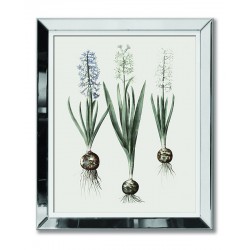  Obraz w lustrzanej ramie kwiaty do salonu cebulki 51x61cm